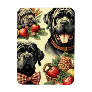 Ímã Ilustração de Mastiff Neapolitano Vintage