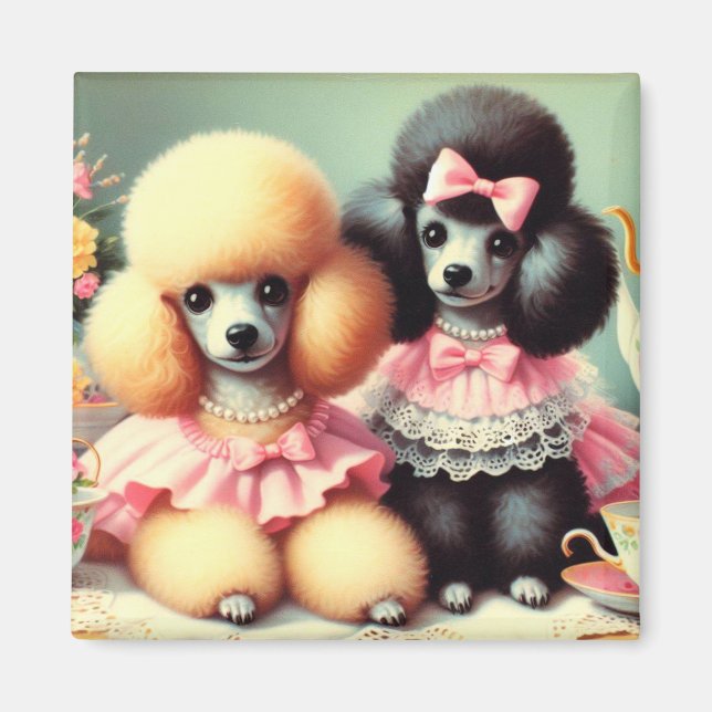 Imã Ilustração de Poodle em Cute (Frente)