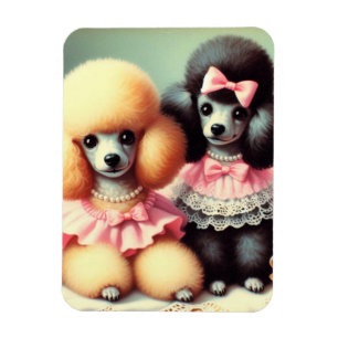 Ímã Ilustração de Poodle em Cute