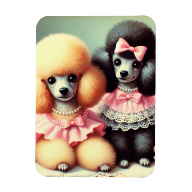 Ímã Ilustração de Poodle em Cute (Vertical)