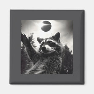 Imã Ilustração de selfie de guaxinim em eclipse solar
