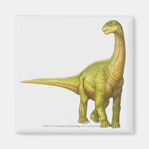 Imã Ilustração de um Camarasaurus