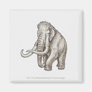 Imã Ilustração de um mammoth