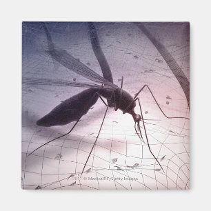 Imã Ilustração de uma mordedura do mosquito