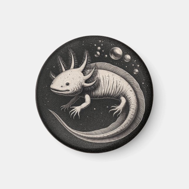 Imã Ilustração de Vintagem Axolotl (Frente)