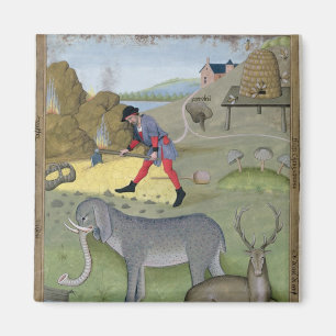 Imã Ilustração do Livro do Simples