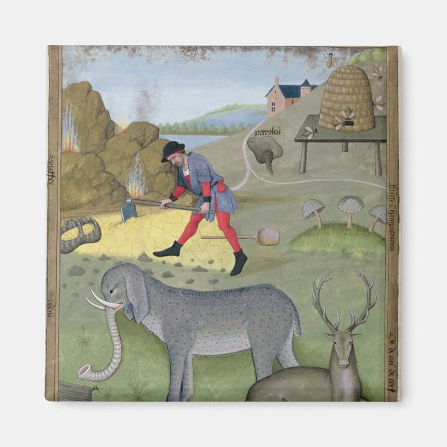 Imã Ilustração do Livro do Simples (Frente)