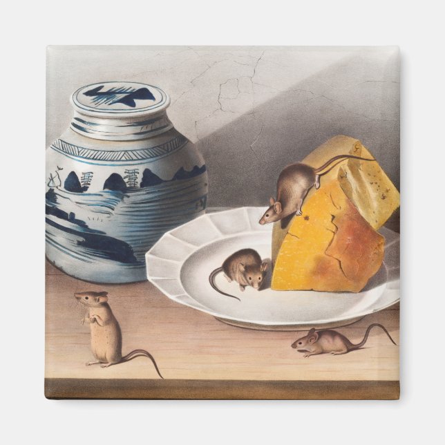 Imã Ilustração do rato (Mus-musculus) (Frente)
