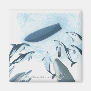 Imã Ilustração dos golfinhos que olham acima em um