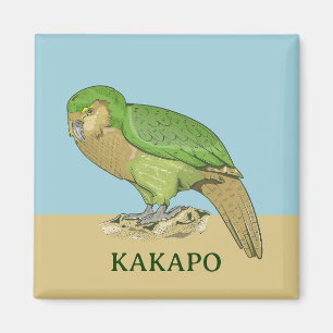 Imã Ilustração Kakapo