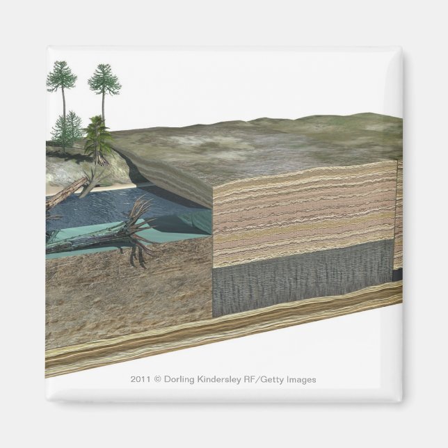 Imã Ilustração mostrando formação de carvão (Frente)