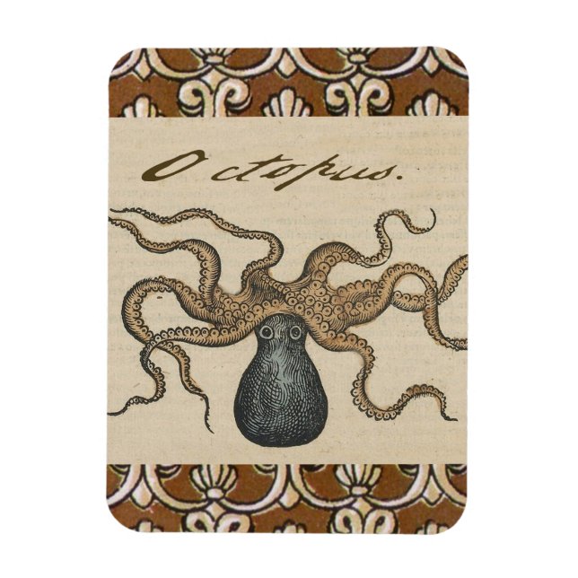 Ímã Ilustração Octopus Kraken Vintage (Vertical)