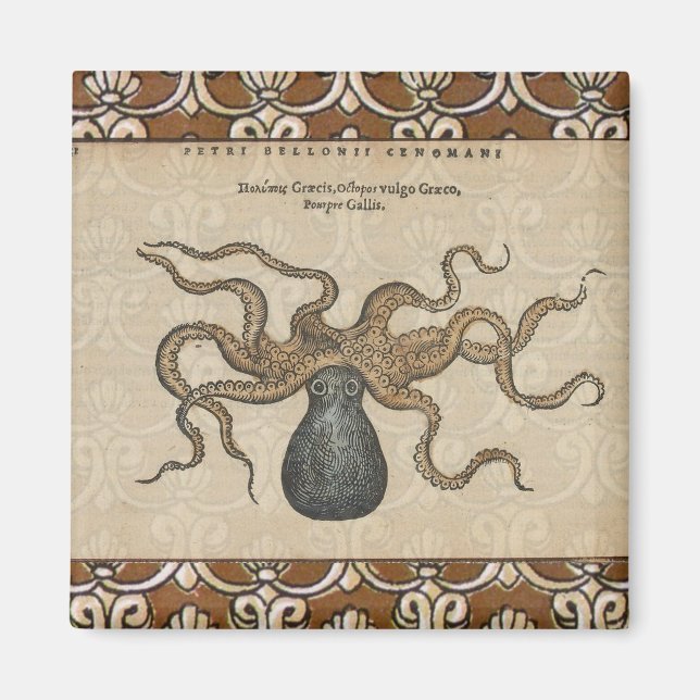 Imã Ilustração Octopus Kraken Vintage (Frente)