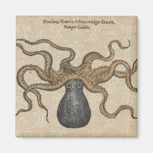 Imã Ilustração Octopus Vintage Kraken