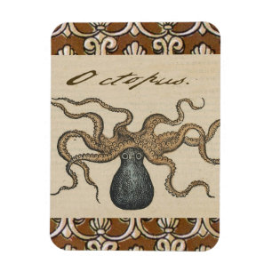 Ímã Ilustração Octopus Vintage Kraken