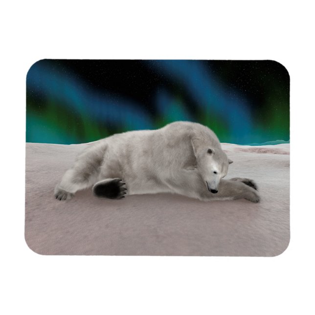Ímã Ilustração Pacífica de Urso Polar na Natureza Árti (Horizontal)