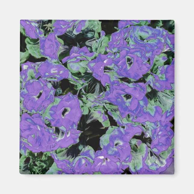 Imã Ilustração Planta de Kalanchoe Roxo (Frente)