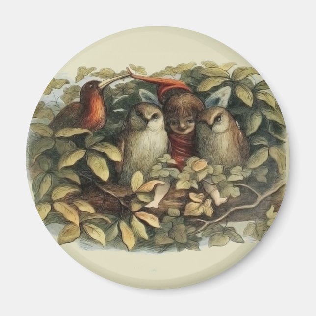 Imã Ilustração rica em recursos naturais do Owls e do  (Frente)