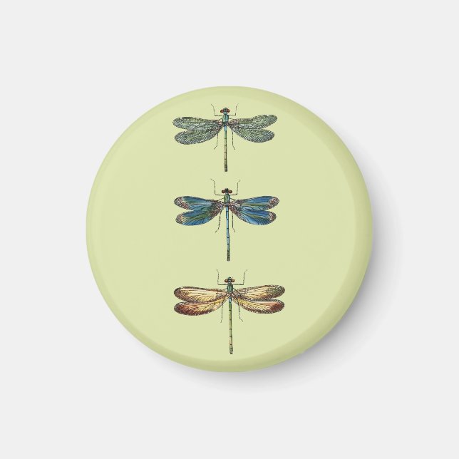 Imã Ilustrações de Dragonfly (Frente)