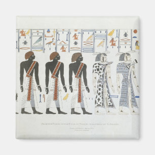 Imã Ilustrações dos hieroglyphics dos túmulos de t