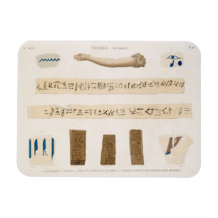 Ímã Ilustrações dos Hieroglyphics e o braço de uma