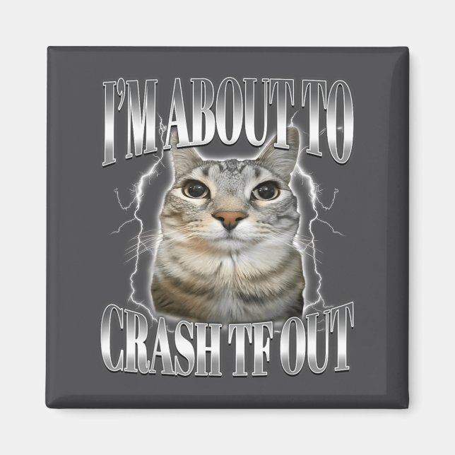 Imã I'm About To Crash Out Funny Staring Cat Brainrot  (Frente)