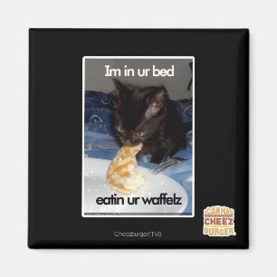 Imã Im na cama do ur