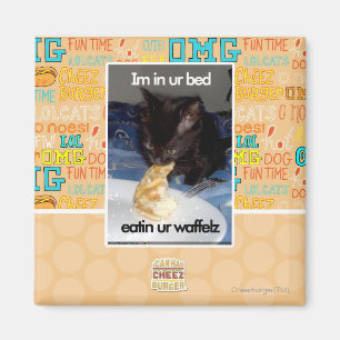 Imã Im na cama do ur
