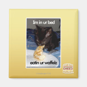 Imã Im na cama do ur