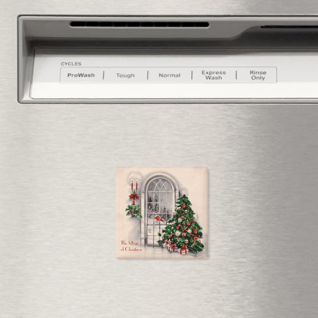 Imã Ímã (In Situ (Dishwasher))
