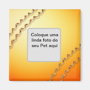 Imã Ímã