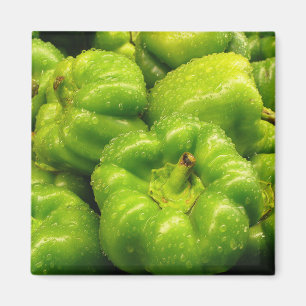 Imã Ímã 02 da pimenta