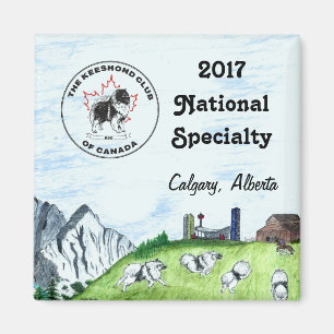 Imã Ímã 2017 da lembrança da especialidade