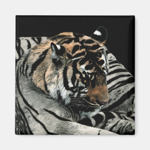 Imã Ímã #2 do tigre - de "padrões sono "