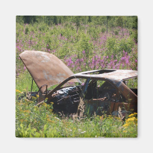 Imã Ímã abandonado do carro