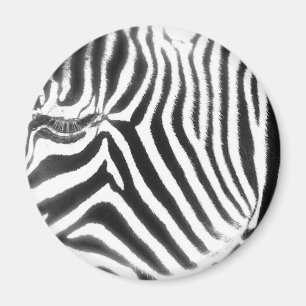 Imã Ímã abstrato da zebra