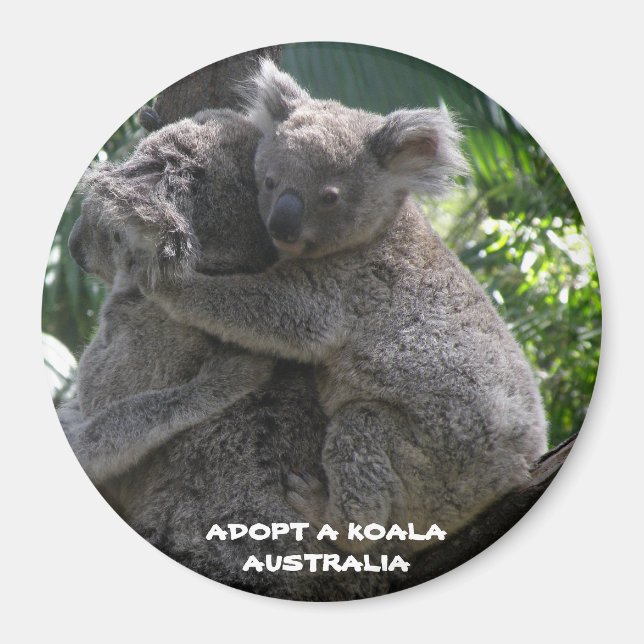 Imã Ímã Adote um Coala Austrália ZIZZAGO (Frente)