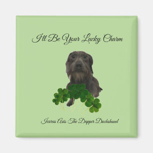 Imã Ímã afortunado do encanto