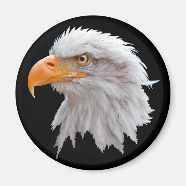 Imã Ímã Águia Americana do Alasca (Frente)