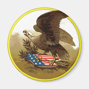 Imã Ímã Águia Americana Vintage