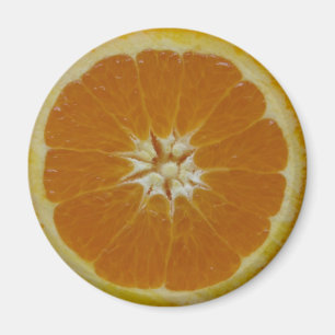 Imã Ímã alaranjado da fatia da fruta