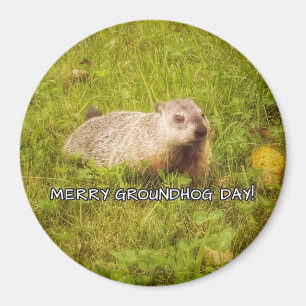 Imã Ímã alegre do dia de Groundhog