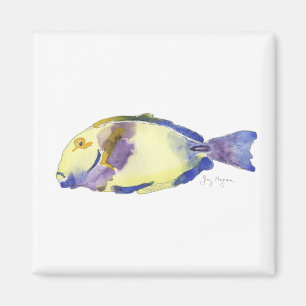 Imã Ímã amarelo/azul dos peixes