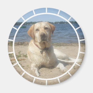 Imã Ímã amarelo de labrador retriever