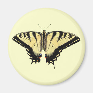 Imã Ímã amarelo do ~ de Swallowtail
