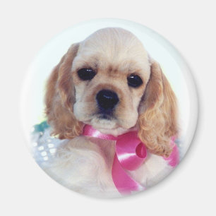 Imã Ímã amarelo do filhote de cachorro do Cocker