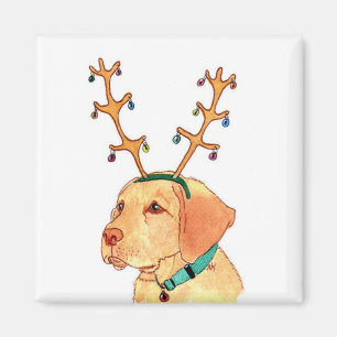 Imã Ímã amarelo do laboratório do feriado