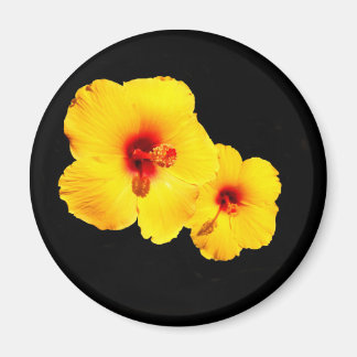Imã Ímã Amarelo Hibiscus