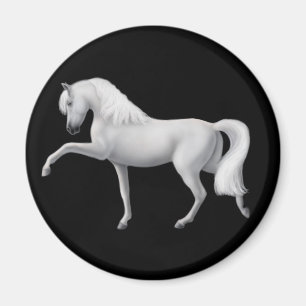 Imã Ímã andaluz branco do cavalo