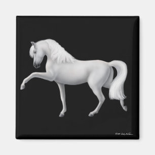 Imã Ímã andaluz branco do cavalo